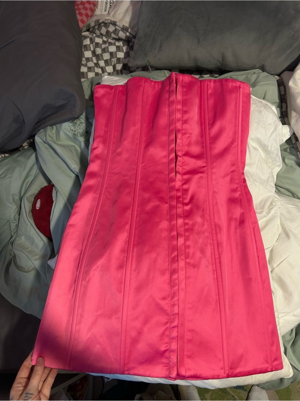 Danielle Guizio pink corset mini dress